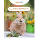 Petifool Herb Garden 400g | 100% Natural Supplementary Food for Rodents - Rabbits Guinea Pigs Hamsters & More - No Artificial Additives - Buy Online on GoSupps.com
