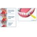 Piksters Interdentalb rste Gr ße 2 40 St ck | Effektive Zahnreinigung f r gesunde Z hne | Versand weltweit - Buy Online on GoSupps.com