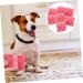 DECHOUS 18 Rolls Sports Wrap Adhesive Tape - Medical Athletic & Dog Self-Adhesive Non-Woven Muscle Tape | Cohesive & Decorative Bandages for Maximum Support - Buy Online on GoSupps.com