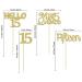 Gold Glitter 15th Birthday Cupcake Toppers - 24Pcs Quincea era Cake Decorations - Buy Online on GoSupps.com