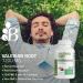 Bronson Valerian Root Capsules 1200mg - Promotes Relaxation - Non-GMO, Soy-Free, Gluten-Free - 240 Vegetarian Capsules - Buy Online on GoSupps.com