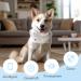 Personalized Dog Stamps & Engraved QR Code Tags | Customizable Pet Profiles | 2PCS-30MM | Ideal for Dogs & Cats | International Shipping - Buy Online on GoSupps.com