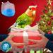 Bird Bath Box - Parakeet Shower Accessory for Pet Birds - Old Tjiko Sky Blue - Buy Online on GoSupps.com