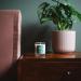 Isle of Skye Candle Company Bog Myrtle & Fresh Mint Miniature Candle - White | International Shipping Available - Buy Online on GoSupps.com