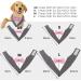 Liebeedd Adjustable Gray Dog Bandana - Stylish Pet Costume for Weddings & Birthday Parties - Buy Online on GoSupps.com