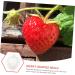 Kisangel 5pcs Fruit Shaping Vegetables Cucumber Fruit Shaper Cherry Tomatoes Stereotypes - Buy Online on GoSupps.com