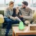 Homeweeks 300ml Colorful Essential Oil Diffuser | Adjustable Mist Mode | Auto Off Aroma Diffuser | for Bedroom/Office/Trip - Buy Online on GoSupps.com