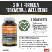 Herba Policosanol 40mg with Plant Sterols and Fenugreek - 120 Vegetable Capsules | Cholesterol Supplement to Lowering and Supporting Healthy Cholesterol Levels and Heart Health | Extra Strength | Made in Canada - Buy Online on GoSupps.com