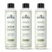 J.R. Watkins Awaken Bath Elixir Liquid Bath Soak Rosemary & Rosewood with Natural Extracts No Salt No Residue 6 oz (Pack of 3)