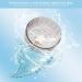 Nicoone 5.1 Inch Washable Hamster Running Wheel - Ideal for Small Hamsters, Rats, Gerbils - Buy Online on GoSupps.com