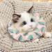 Kytpyi Cat Collar - Stain-Resistant Adjustable (17-27cm) Waterproof Cotton for Cats & Puppies Pink Feather Design - Buy Online on GoSupps.com
