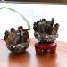 Natural Smokey Raw Crystal Cluster Tea Crystal Cluster with Stand Stones Enery Crystal Point Specimen Home Decoration Gemstone 500-700g Gift (Color : 300-500g) - Buy Online on GoSupps.com