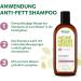  Alkmene alkmene 2 x Nettle Oily Hair Shampoo 250ml - Vegan Shampoo for Oily Scalp Quickly Reduces Regreasing - Buy Online on GoSupps.com