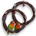 Qeeheng bird's swing made of natural wood circular ring bird's swing hanging bell parrot seat rod cage accessories for parasites nymphensittiche contours
