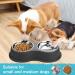 Double Dog Bowls Stainless Steel with Non-Slip Base | Pet Feeder for Puppy, Medium Dogs, Cats - Black - Buy Online on GoSupps.com