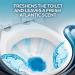 Lysol Toilet Bowl Cleaner with Lime & Rust Remover 24 fl oz - Pack of 4 - Buy Online on GoSupps.com