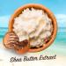 Malibu Sun SPF 50 Continuous Lotion Spray Sunscreen High Protection Vitamin Enriched Water Resistant 175ml - Buy Online on GoSupps.com