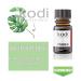 Kodi Professional Nail Dehydrator & Acid Primer | 10ml | Nail Plate Degreaser Gel for Acrylic & Gel Nails | Strong Adhesion & Prep - Buy Online on GoSupps.com