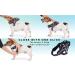 Bike & Dog: Patented Dog Leash & Harness for Biking | 3-Ring Dishes Included - Buy Online on GoSupps.com