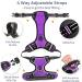 Heele Dog Crockery & No-Pull Harness | Reflective Padded Handle for Medium Dogs - Purple - Buy Online on GoSupps.com
