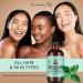 Sunny Isle Jamaican Black Castor Oil with Peppermint 118ml - Buy Online on GoSupps.com