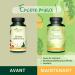 Multivitamins for VEGAN | To Support a Vegan Diet | Multivitamins and Essential Minerals | High Bioavailability | Vitamin B12 D3 K2 Iron and Calcium | 120 Capsules | Vegavero  - Buy Online on GoSupps.com