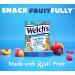 Welch's Fruit Snacks Mixed Fruit & Berries 'N Cherries Bulk Pack Gluten Free Individual Single Serve Bags 22g (Pack of 72) - Buy Online on GoSupps.com