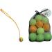1ABOVE Dog Ball Launcher Thrower + 10 Dog pet balls. Slinger Dog Ball Thrower Launcher with Tough Ball Hands Free Pick Up and Throw Play and Great Fun for Dogs Puppy Toys - Buy Online on GoSupps.com