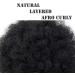 Hair Bun Hairpiece for Women Brazilian Updo Afro Puff Human Hair Bun Chignon Hairpiece Short Drawstring Ponytail Kinky Curly Clip in Non-Remy Hair Ponytail Extensions Hair Chignons(6inch) - Buy Online on GoSupps.com