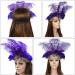 Sequin Feather Headband Elastic 1920s Headband 1920s Flapper Headpiece Vintage Flapper Headband Accessories for Women for Costume Prom Wedding Party(Purple) - Buy Online on GoSupps.com
