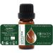 Forest Magic Organic Essential Oils Set - Scotch Pine, Juniper, Silver Fir | 100% Pure & Natural, Therapeutic Grade | Family-Owned Farm | Non-GMO | 3 x 10 ml - Buy Online on GoSupps.com