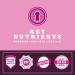 KEY NUTRIENTS Electrolytes Powder - Raspberry Hydration Drink Mix (20/40/90 Servings) | No Sugar, No Calories, Gluten Free - Buy Online on GoSupps.com