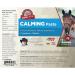 Formula 707 Calming Equine Paste | Fast-Acting L-Tryptophan for Nervous Horses | 2 Servings - International Shipping Available - Buy Online on GoSupps.com