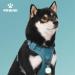 Pawaii Dog Harness for Small Dogs - Adjustable Reflective Anti-Pull with Handle - Breathable Padded Design (Chest 43-55cm) - Teal Green - Buy Online on GoSupps.com