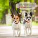 Double Leash for 2 Dogs - No Tangle 360 Rotatable Training Line Shock-Absorbing & Reflective Adjustable for 0-15kg - Perfect for Dog Training - Buy Online on GoSupps.com