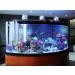 300W 500W Aquarium Heater | Auto Thermostat Submersible | Durable Quartz Glass | 500 W Fish Tank Heater | 3 Suckers | Saltwater Freshwater 50-90 Gallon - Buy Online on GoSupps.com