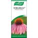 A.Vogel Echinaforce Echinacea Drops 100ml - Immune System Support for Cold & Flu Relief - Buy Online on GoSupps.com