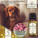 Adema Natural Wurmolan Globules - Natural Worm Cure for Dogs Cats & Rodents - 10g Safe Remedy for Pet Infestations - Buy Online on GoSupps.com