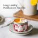 Buy Magnificent 101 Love Struck Aromatherapy Candle - 6 Oz Soy Wax Tin for Love Reignition & Chakra Healing | 30 Hour Burn - International Shipping Available - Buy Online on GoSupps.com
