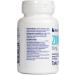LEANFIT Zinc 50mg 90 Tablets - Vegan Sugar-Free Non-GMO Gluten-Free - Buy Online on GoSupps.com