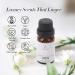 JCLOUD My Way Essential Oil for Diffuser - Luxury Aromatherapy Blend with Bergamot Tuberose & Vanilla - Pet Safe 10mL - International Shipping Available - Buy Online on GoSupps.com