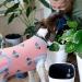 Recovery Suit for Dogs | Postoperative Wound Protection & Licking Prevention | Pink Cactus Size M - Buy Online on GoSupps.com