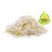 Organic Mung Bean Sprouting Seeds - 5 lb Pack for Chinese Bean Sprouts | Todd's Seeds - Buy Online on GoSupps.com