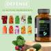 NViroMune Immune Defense Supplement - 10 in 1 Immune Support with Zinc, Copper, Vitamin D3, Selenium, Quercetin & Herbal Extracts - 60 Capsules - Buy Online on GoSupps.com