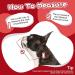 Kuoser Rescue Dog Collar - Adjustable Leak Protection for Wounds | Red M (28-36cm) | Essential & Comfortable for Dogs - Buy Online on GoSupps.com