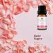 LOXIM Discovery Collection Essential Oil Set - 3 Fragrance Oils for Aromatherapy | 100% Pure Natural Scents - Santal Sparkle Rose Sugar Citrus Pop - Buy Online on GoSupps.com