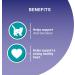 Purina One Senior 7+ Wet Cat Food Chicken and Beef 8x85G Pack of 5 Chicken and Beef 680 g (Pack of 5) - Buy Online on GoSupps.com