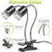 IOOTSEA Reptile Aquarium Heat Lamp 50W, Double Head UVA UVB Bulbs, Adjustable Holder for Turtle Lizard Snake - Pet Heating Light - Buy Online on GoSupps.com