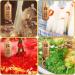 Infinitely Great Home Decor Center Baixiang Lanzhou Instant Beef Noodles 84g Pack of 6 - Buy Online on GoSupps.com