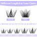 Individual Lashes 0.07mm Cluster D Curl 12-16mm Mixed Long Eyelashes Extension Kit - Buy Online on GoSupps.com